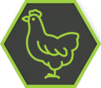 Poulet de Bresse